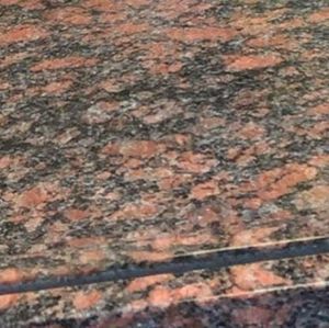 Meet your Posher, Eva